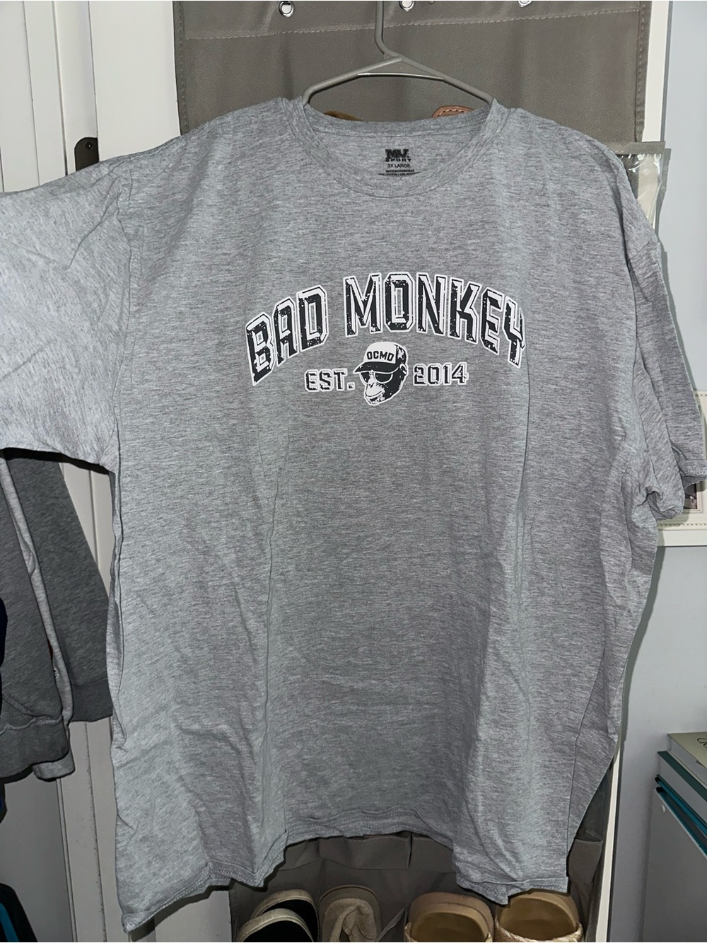 Men’s Gray Graphic Tee -